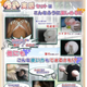 Illustration for article titled This Jubblie Erotic Game Brings New Level Of Bundle Reality